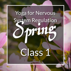 Yoga for Nervous System Regulation Spring series, Class 1