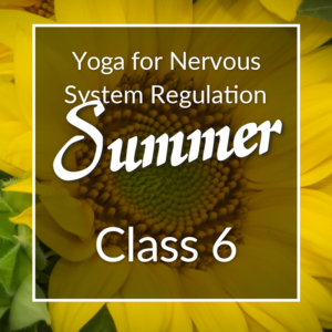 Yoga for Nervous System Regulation Summer series, Class 6.