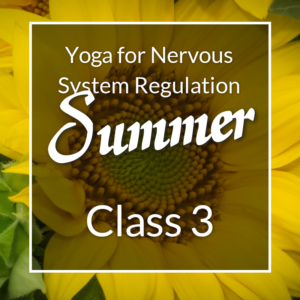 Yoga for Nervous System Regulation Summer series, Class 3.